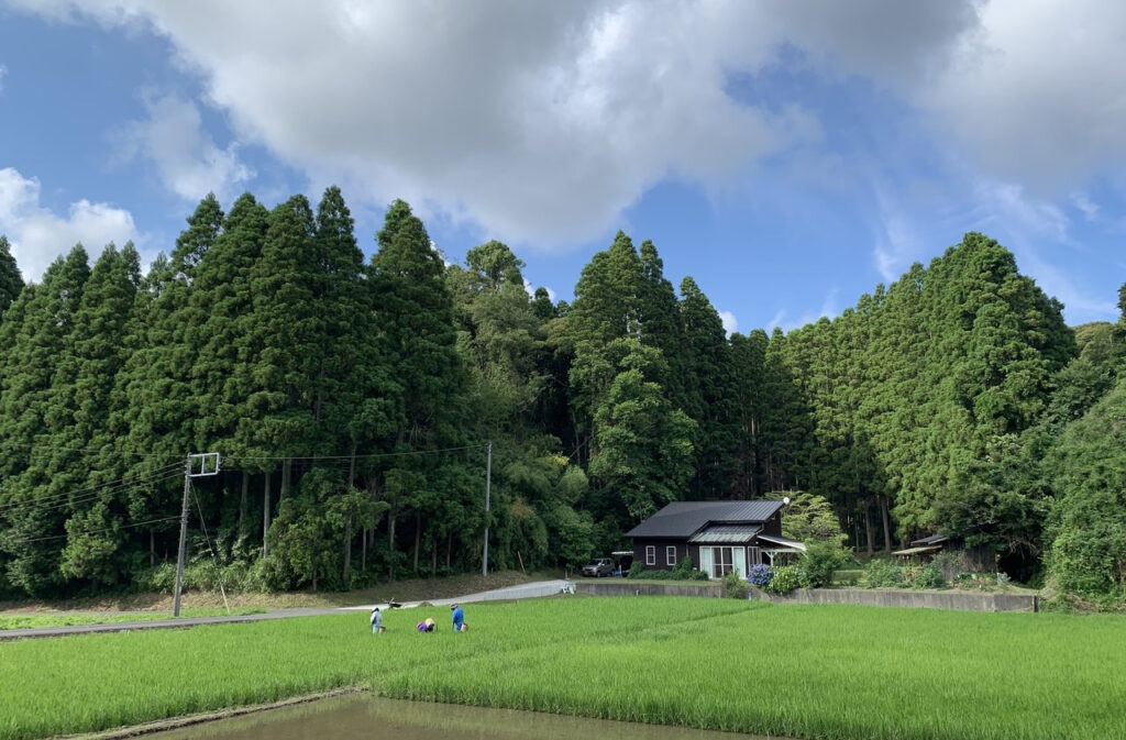 豊かな魅力を持つ民泊体験